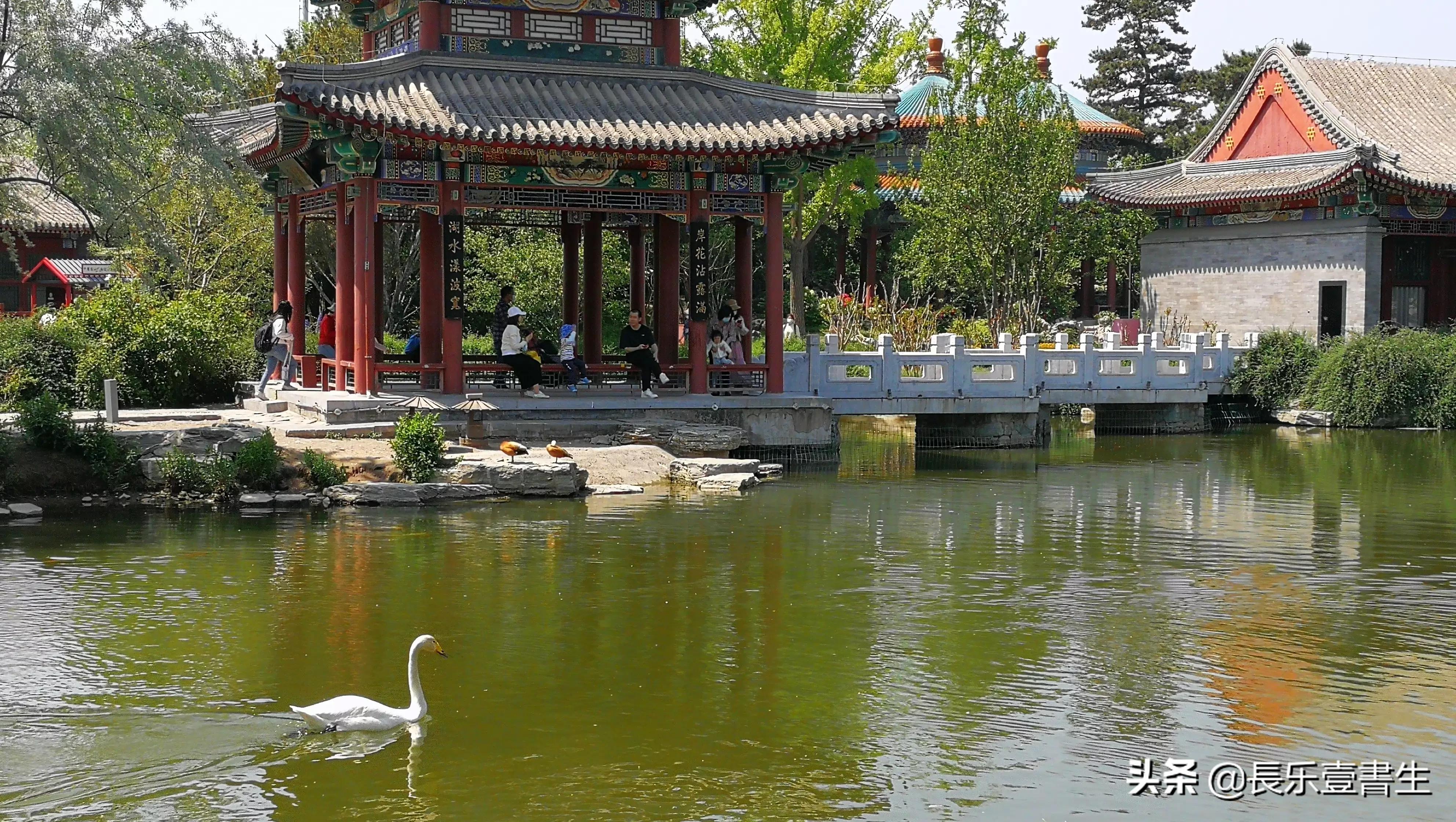 中国园林博物馆游览时间表,小众游玩强烈推荐北京园林博物馆