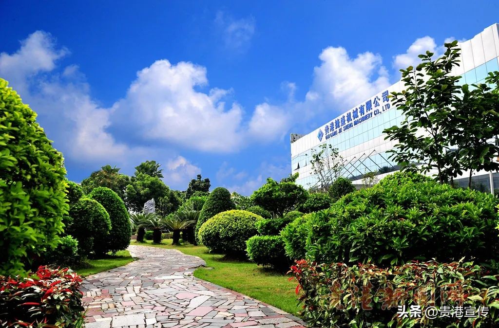 广西贵港有几家公司招聘,贵港招聘信息最好的单位