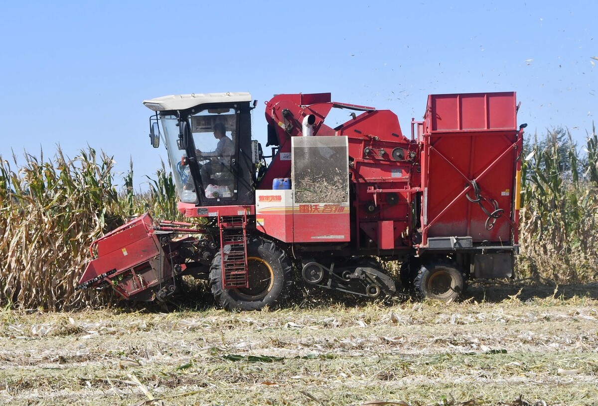 久保田1408玉米收获机价格,巨明山地王三垄玉米收割机参数