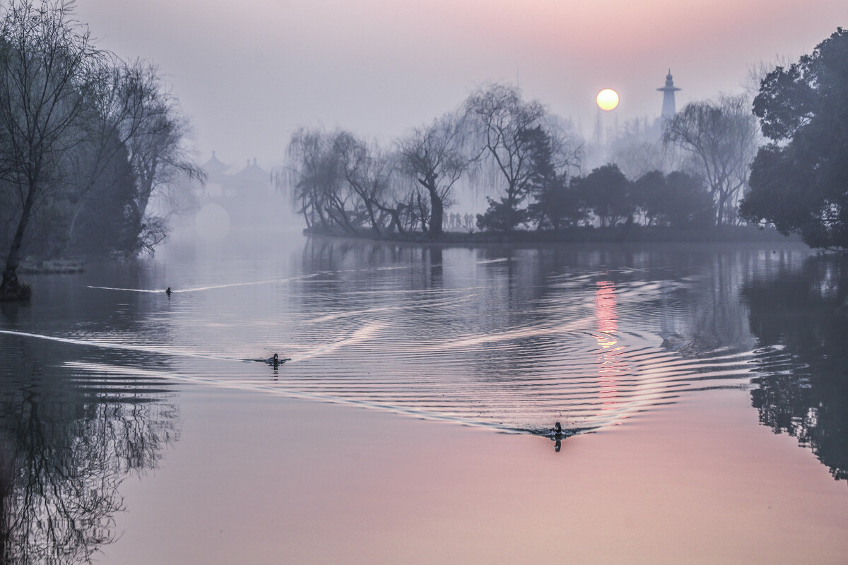 广告电商是真的看广告就能赚钱吗,广告电商应用模式
