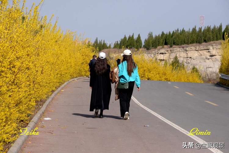 北京近郊春景,济南近郊春景