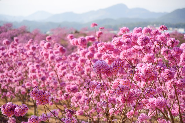 一边崩溃一边又在自我治愈,一边崩溃一边治愈是生活常态