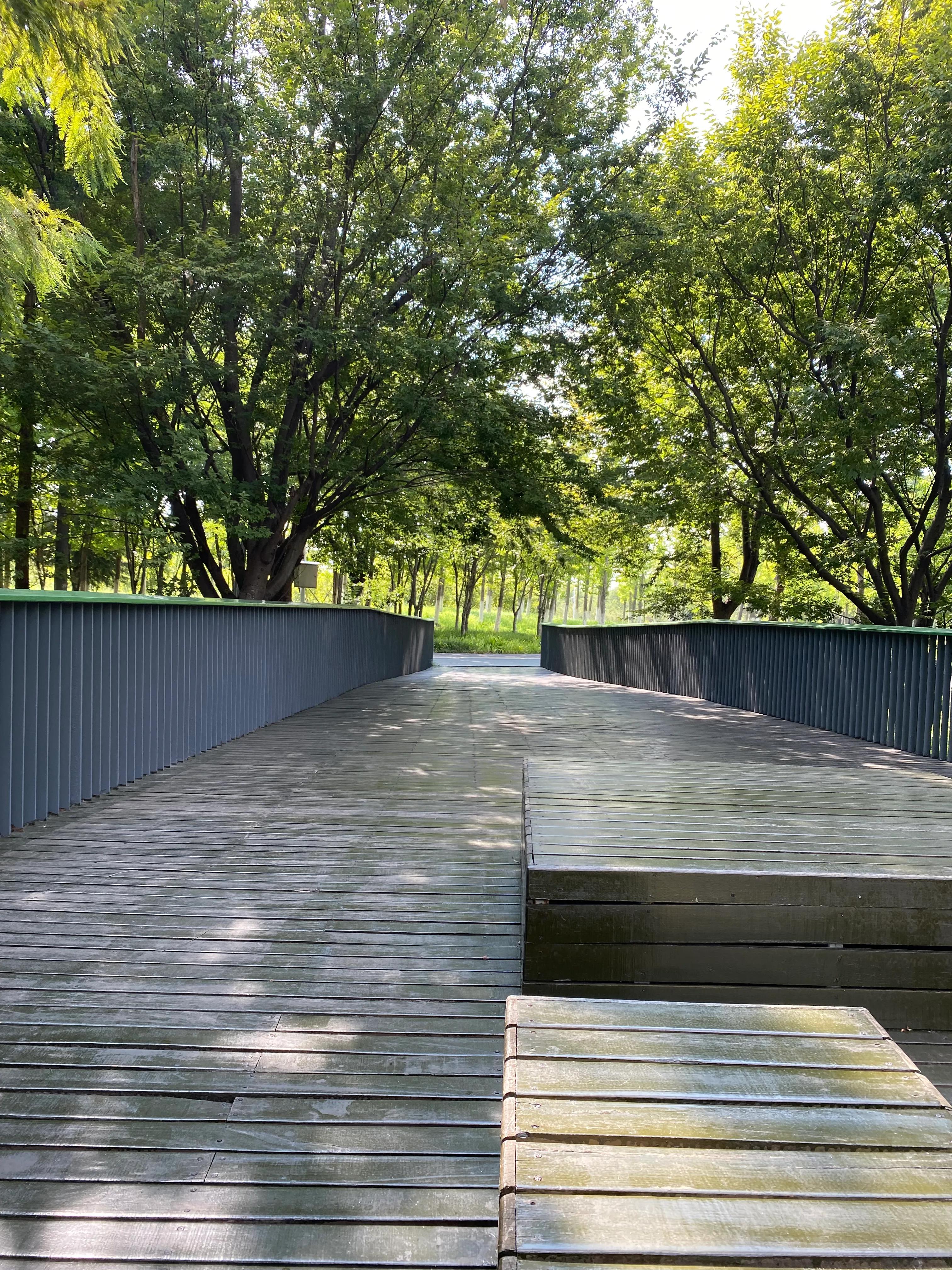 钃濆ぉ鐧戒簯鏌虫爲妗冭姳灏忔ˉ娴佹按,钃濆ぉ鐧戒簯缁挎爲寰闃冲厜鏄庡獨