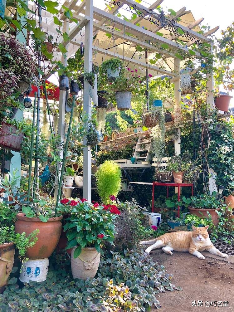 日式杂货花园设计,日式杂货花园