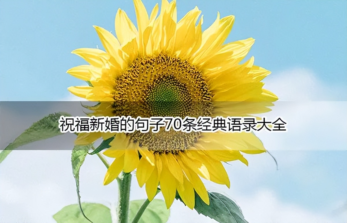 祝福新婚的唯美句子古诗词,祝福班主任新婚的唯美句子