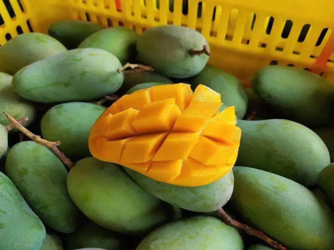 在广西，你永远不知道天上会掉下来什么