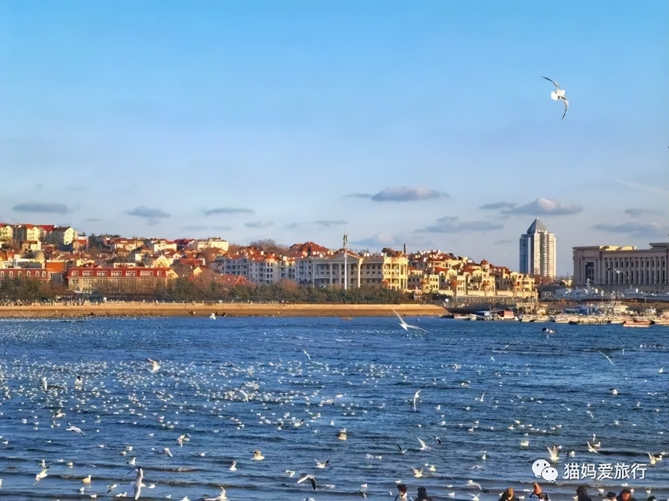 5天“趣”玩青岛，我的私藏遛娃路线