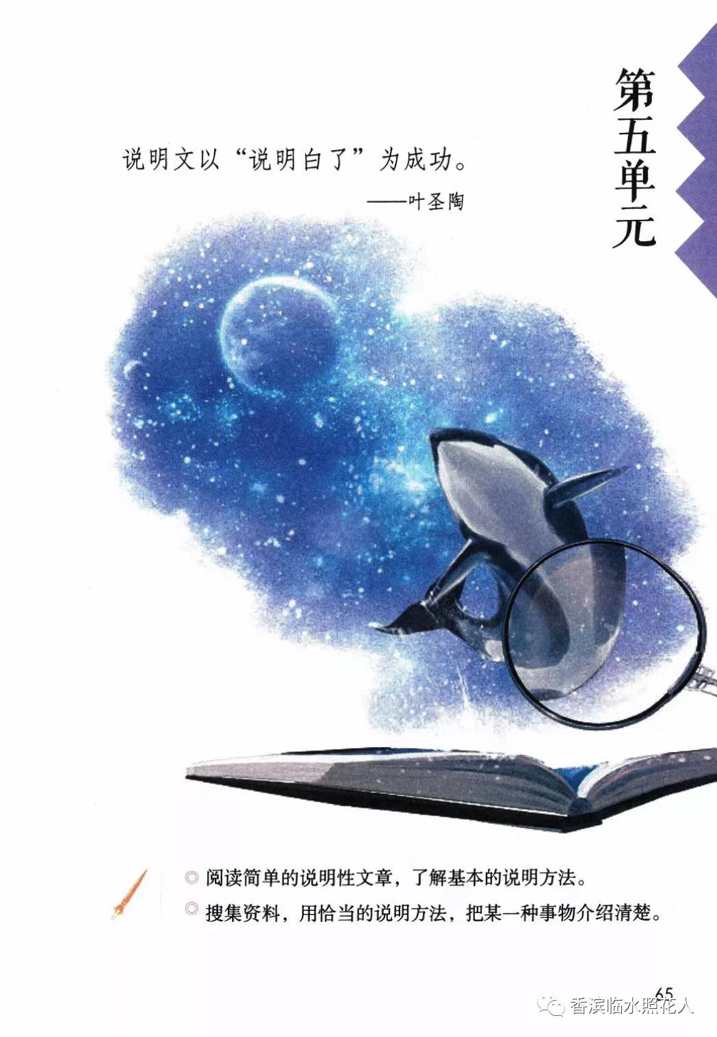 ​「五年级作文“我的心爱之物”」姜奕西《小猫》（二十四）