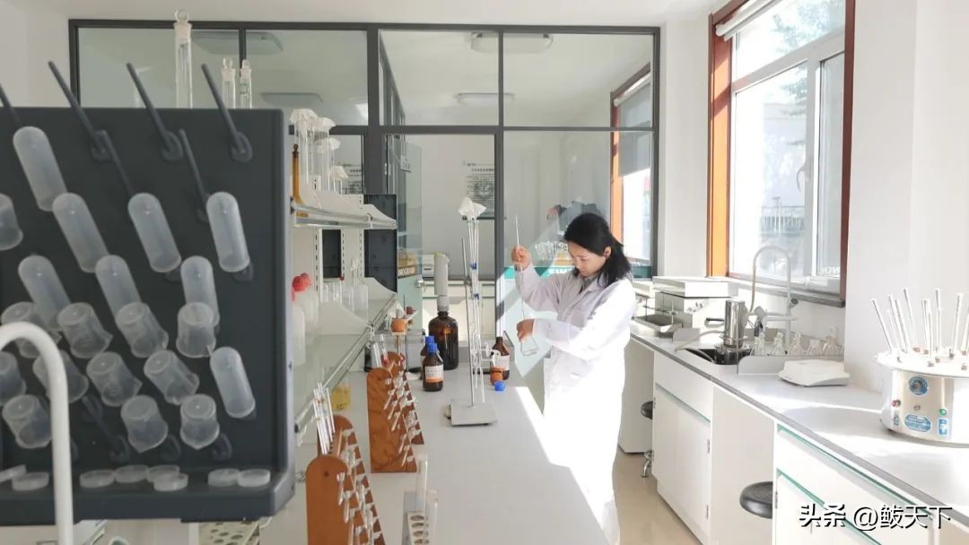 中储粮收不收转基因玉米,中储粮营口直属库