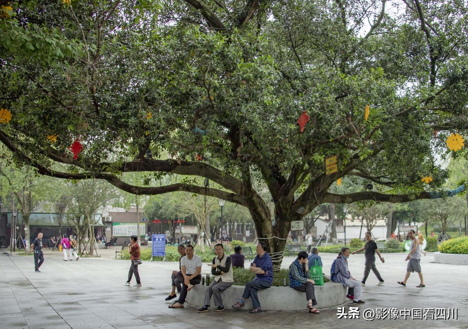 刘国兴的2022年:冬去春来,愿岁月静好(上集)