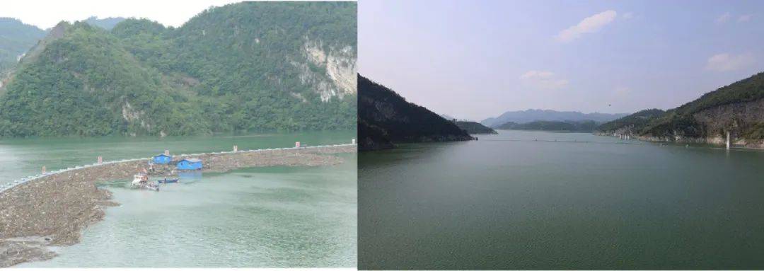 检察公益诉讼助力生态环境保护,河南省检察院公益诉讼典型案例