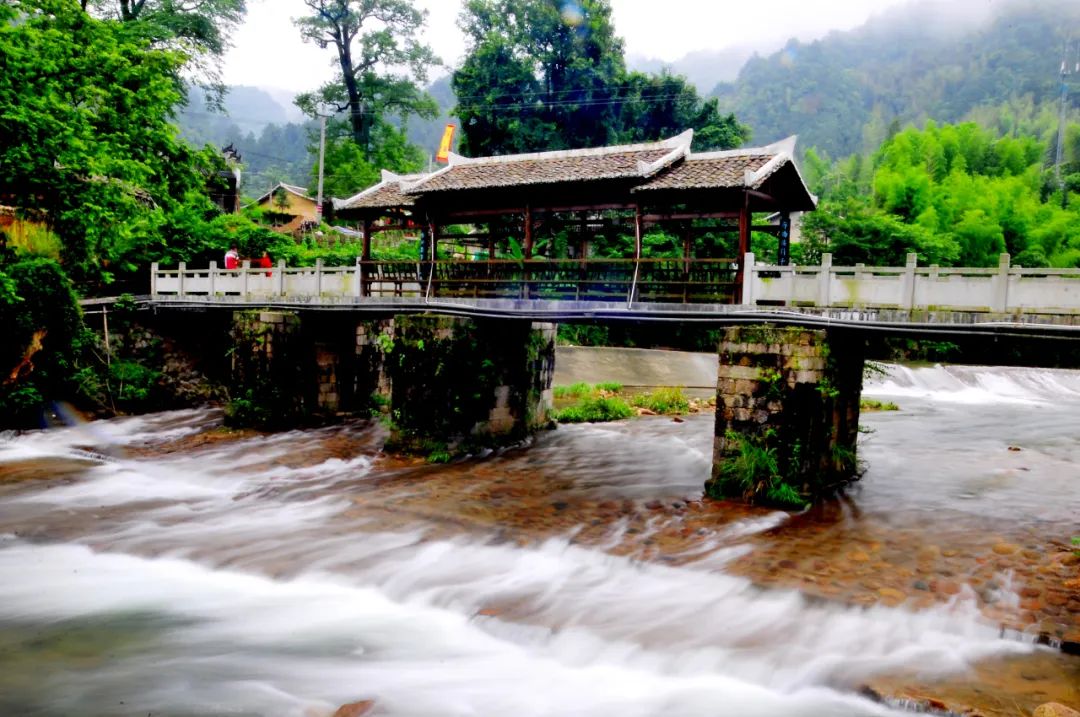 涓婇ザ閾呭北鐣叉棌椋庢儏,澶╀笅show