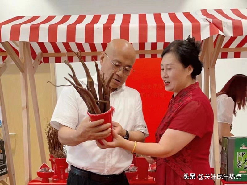 迈尔标普.鸿赢中药材种植基地被授予航空助农乡村振兴联建基地