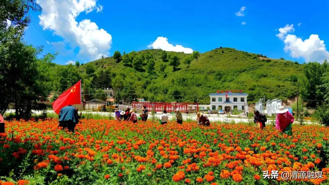 「奋进百年路启航新征程」莲峰镇：风劲帆满海天阔全力奔赴新征程