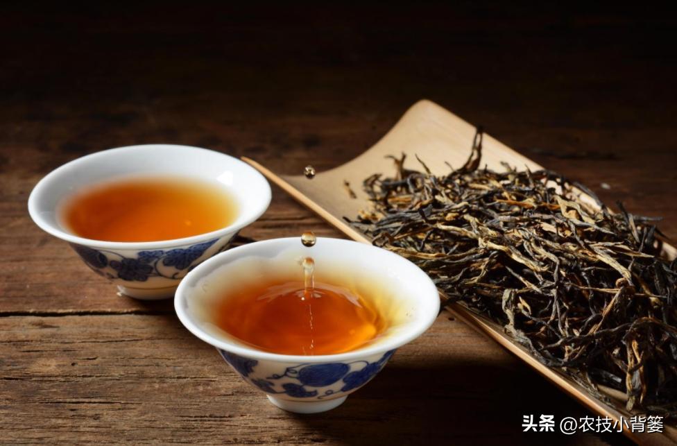 春天喝红茶还是绿茶好,春天适合喝什么红茶绿茶