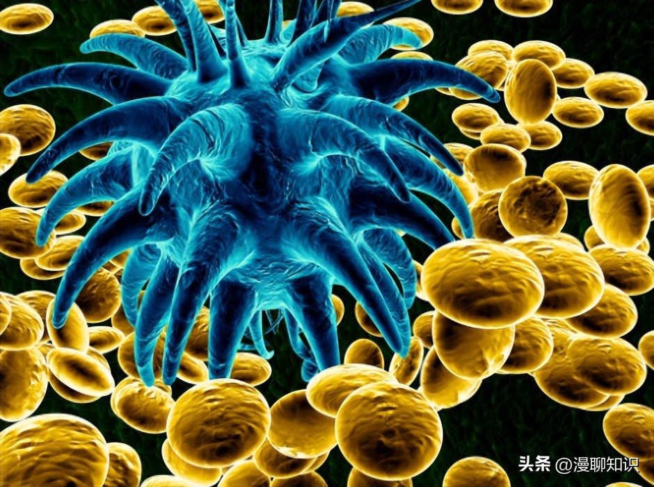 妇阴康洗剂效果怎么样,妇阴康洗剂是抗生素药吗