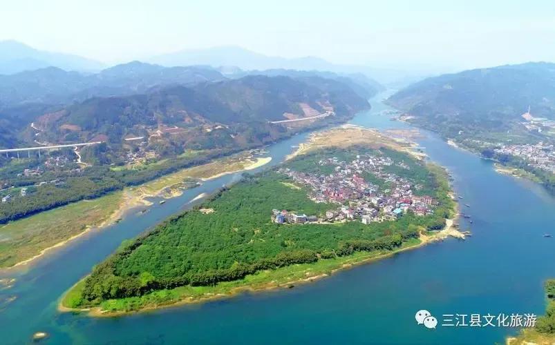 下辈子只想做条只有七秒记忆的鱼,愿做一条只有七秒记忆的鱼