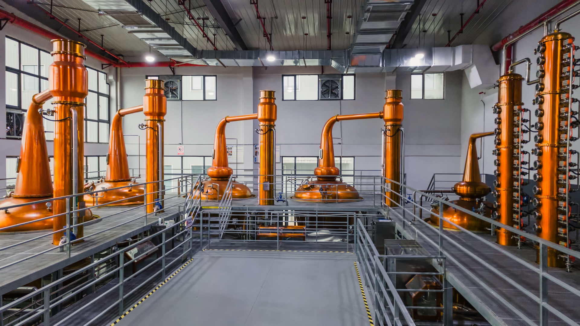 共谋发展共创未来座谈会,共谋合作发展携手共创未来