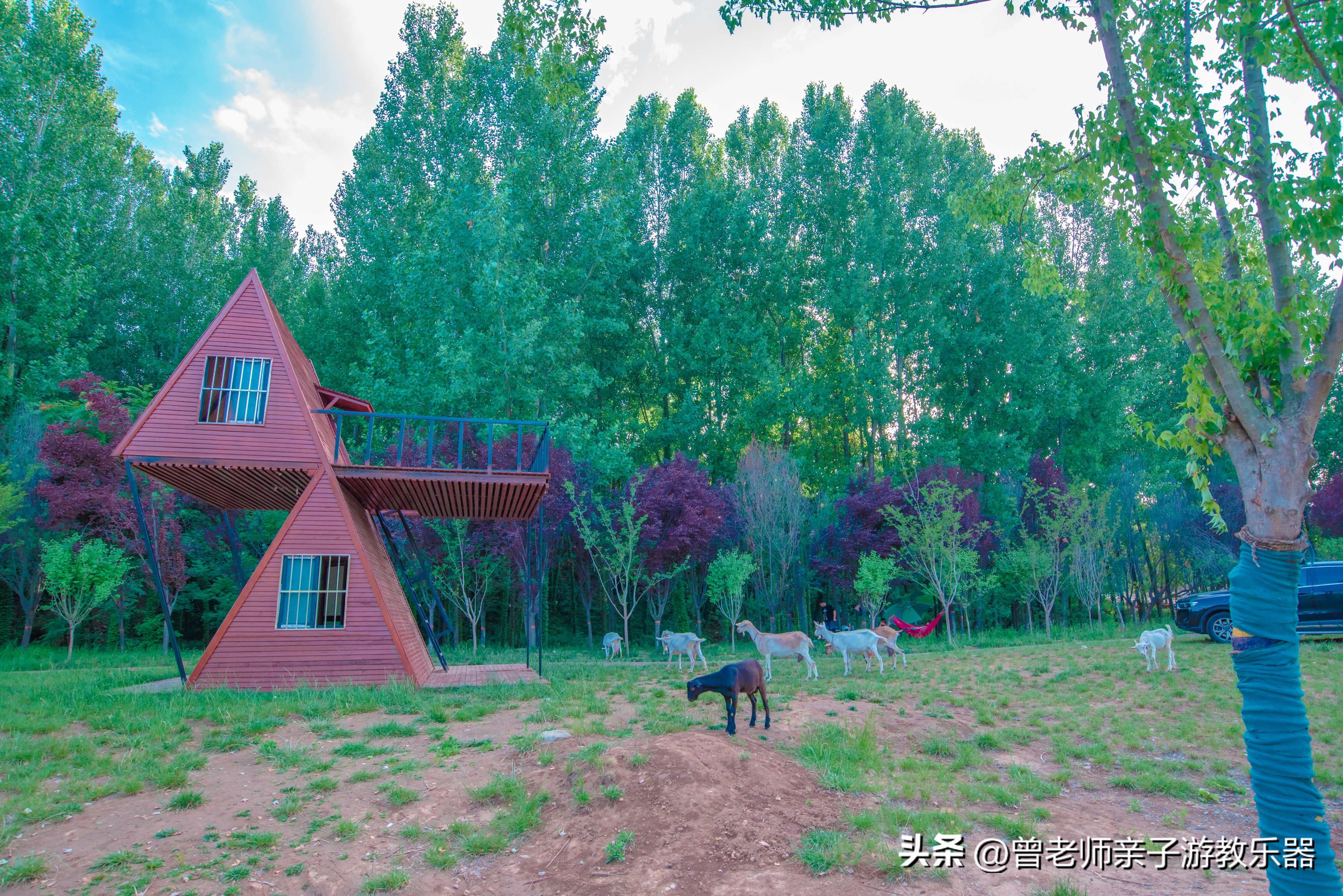 西安秋天野营免费地点,西安秋天露营地免费地点