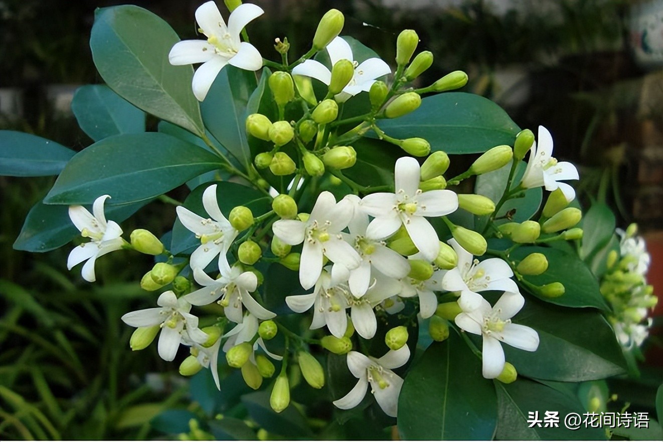 屋内除甲醛效果最好的方法,屋内除甲醛最好的方法