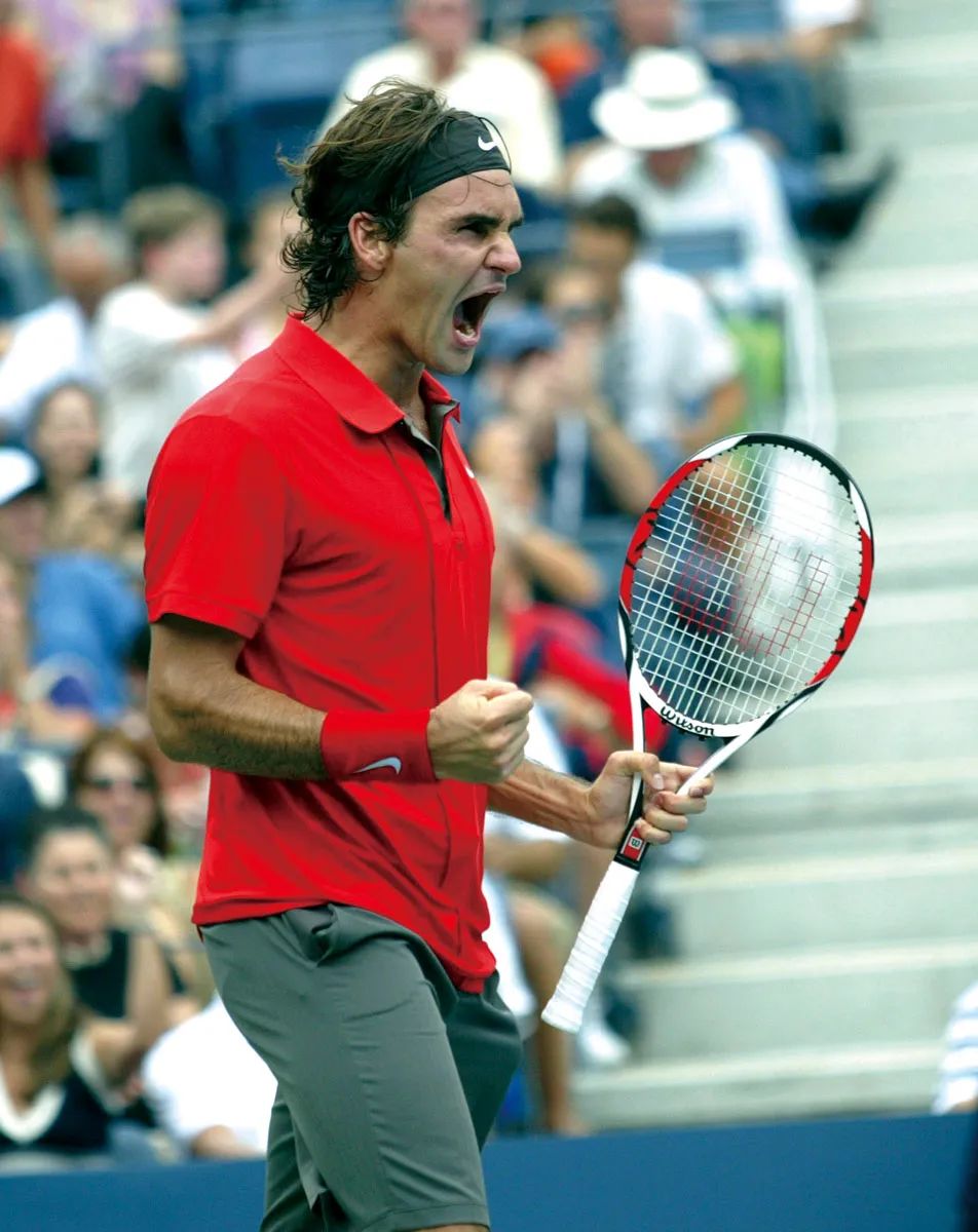 费德勒马纳里诺,费德勒在瑞士人心中地位