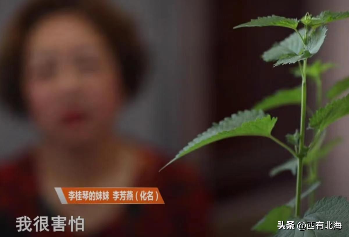 30岁女子面对害母仇人说：我希望他去死，又希望他不被抓住！