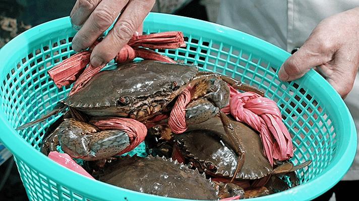 实现海鲜自由的自助餐,家门口实现海鲜自由
