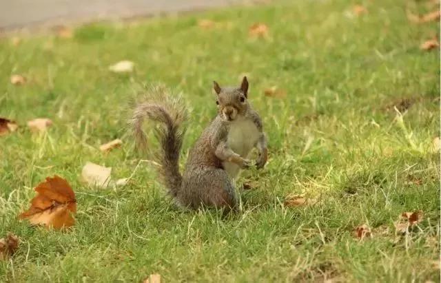 我是中医感悟分享,我自学中医的十年感受和经验