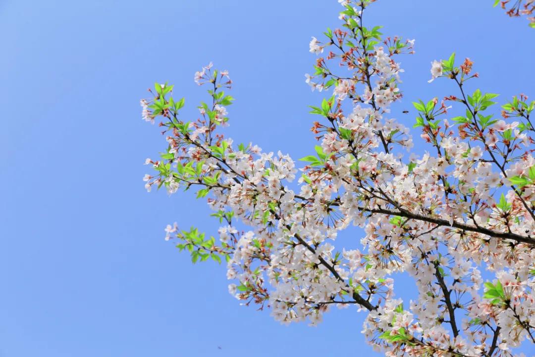 奉有余而损不足道德经,识不足则多虑信不足则多言道德经