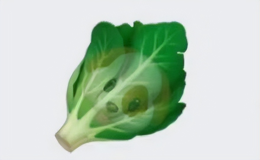 00后搞笑聊天暗语,谐音梗睡前聊天记录