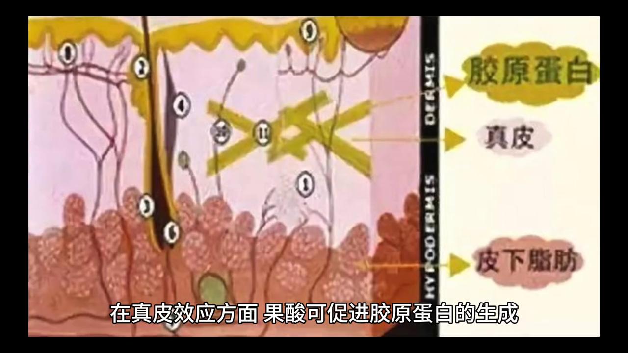 角质层太厚怎么办,角质层太厚是不是也会显黑