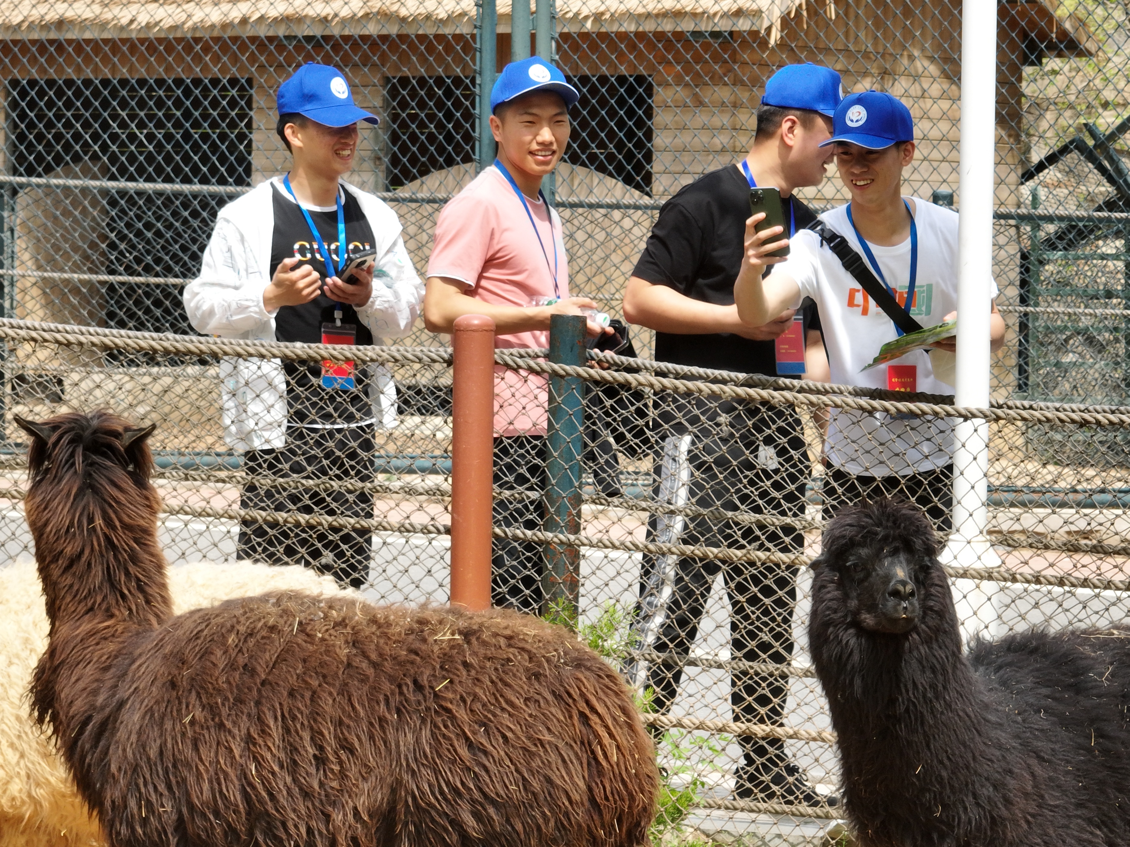 暖心服务送关爱,贴心服务助力精准康复