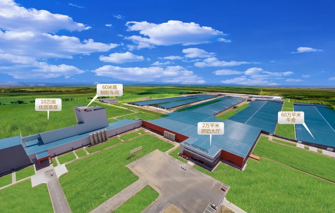 新国标的奶粉上市了吗,什么上市的奶粉是新国标的