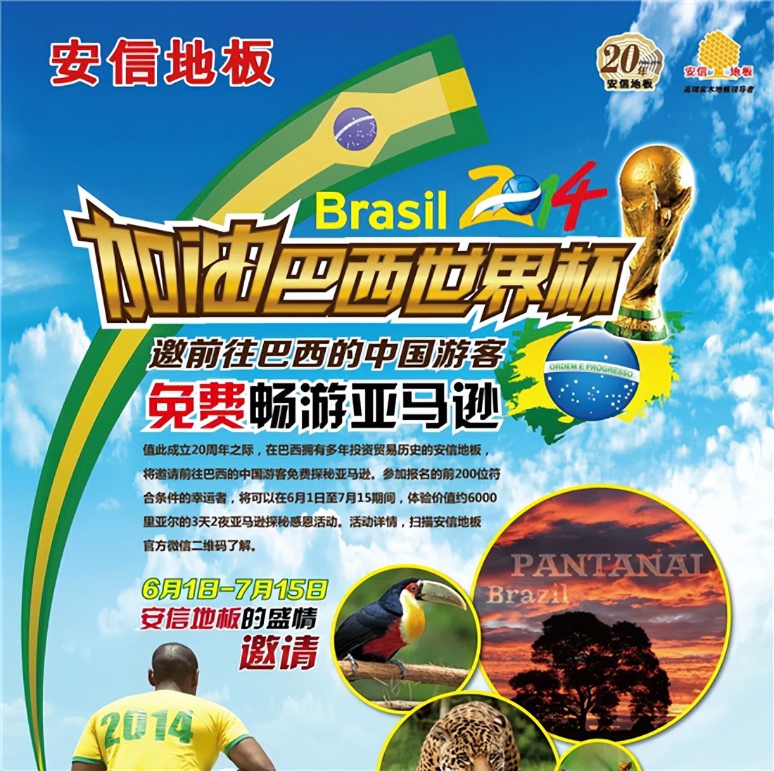 因“材”际会，安信地板与南美巴西的不解之缘