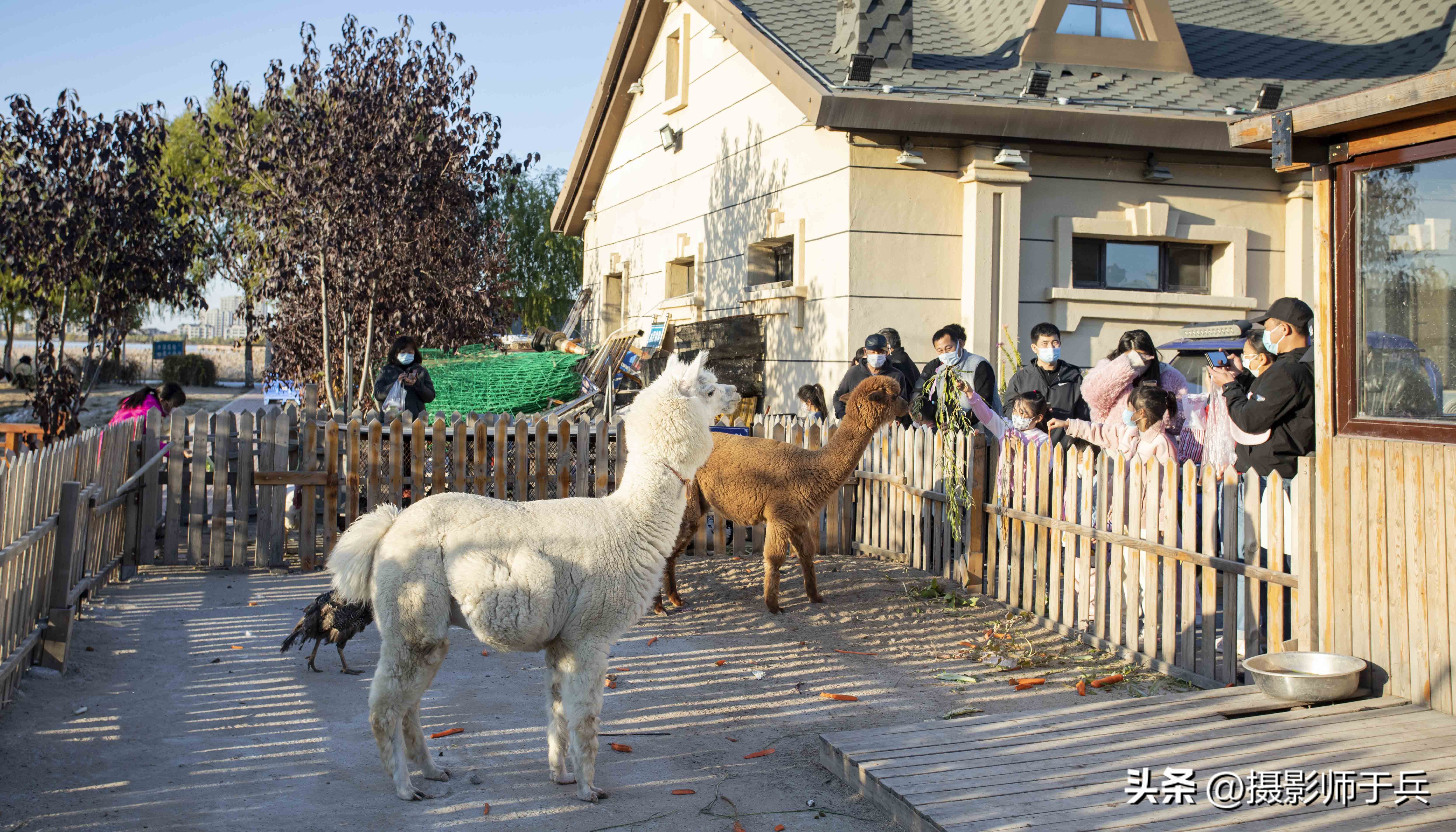 大庆环湖绿道,大庆滨水绿道创意空间