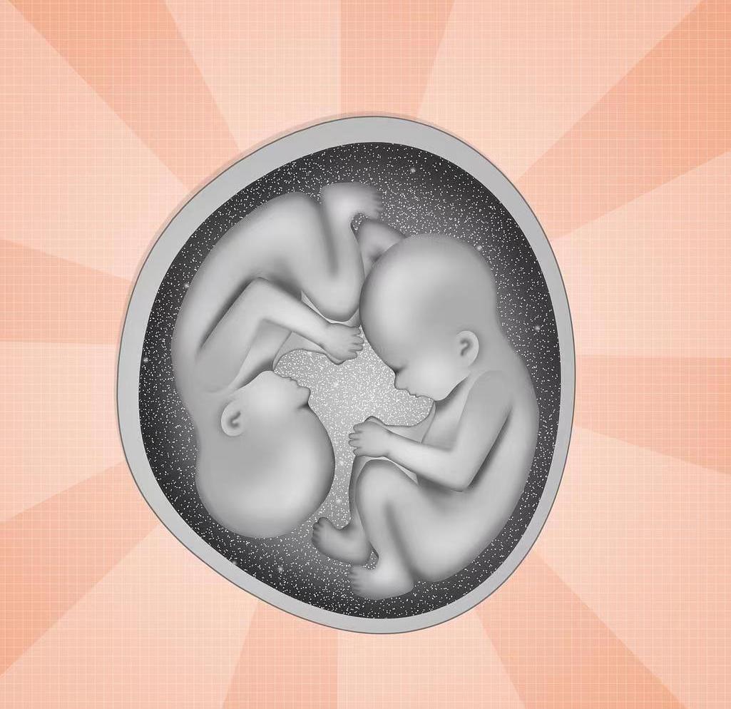 父亲是亲生父亲，母亲却不是亲生母亲？“奇美拉现象”有多神奇？