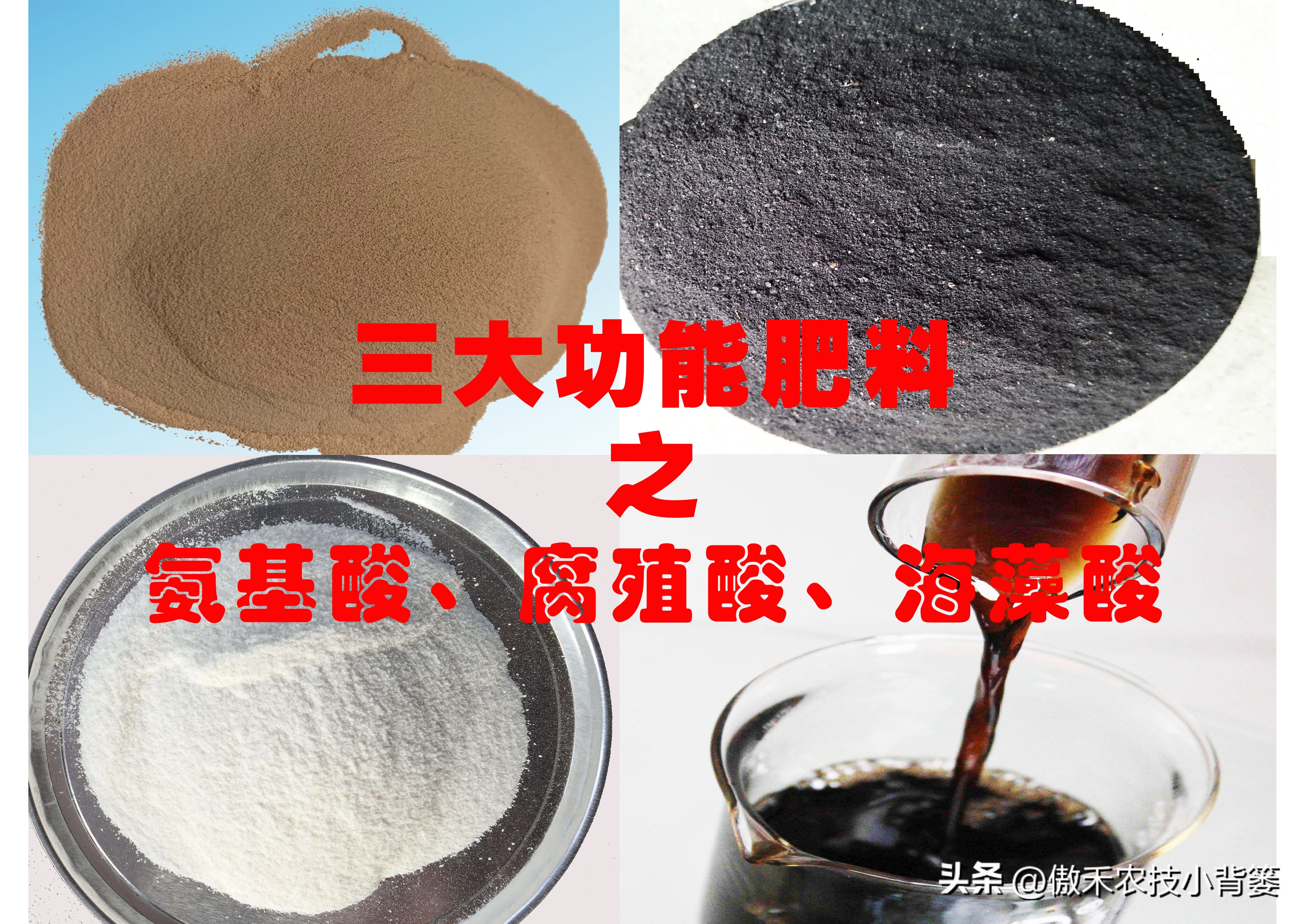 黄腐酸海藻酸氨基酸哪个效果好,氨基酸肥料和腐殖酸肥料的区别