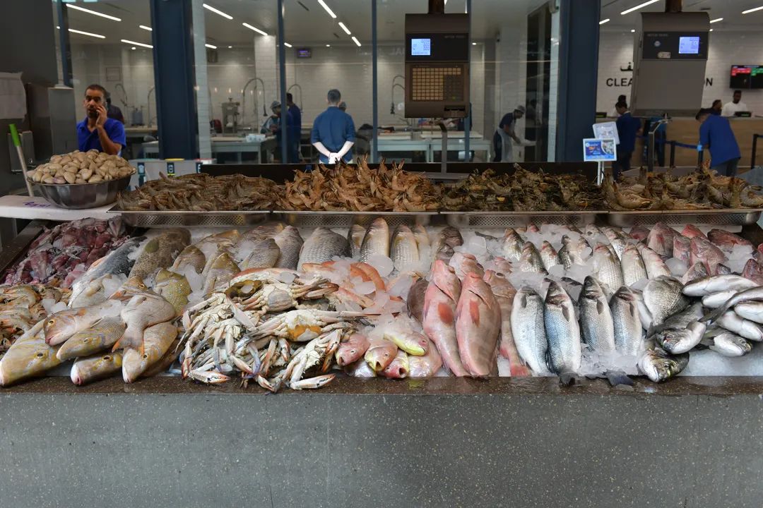 V世界｜夏天，在阿布扎比的11个“极致”体验