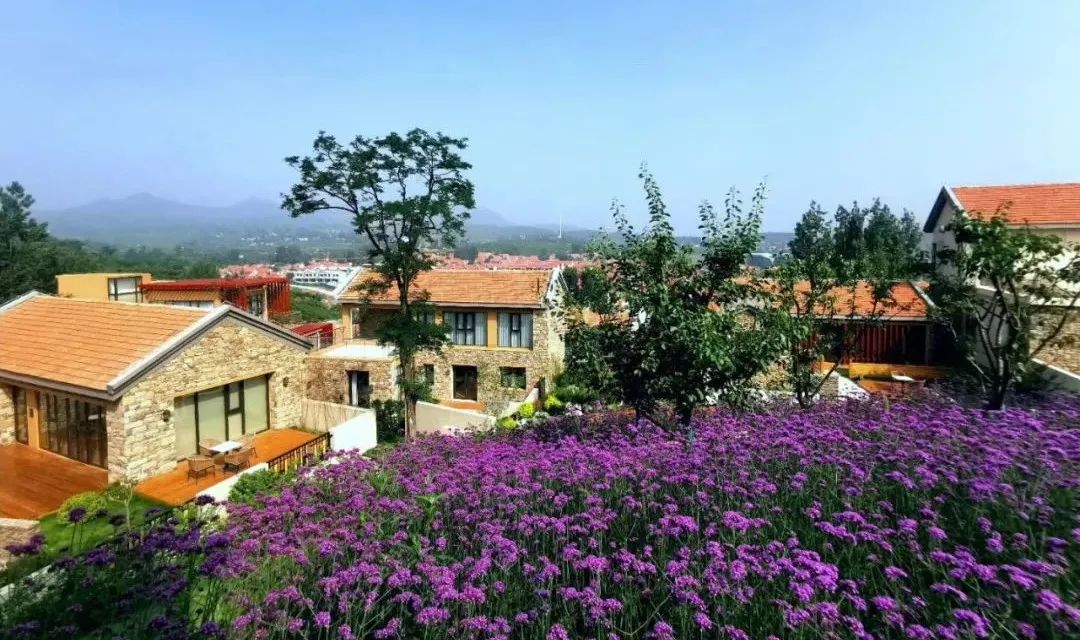 沂蒙乡村振兴学习感悟,乡村振兴看沂蒙专题