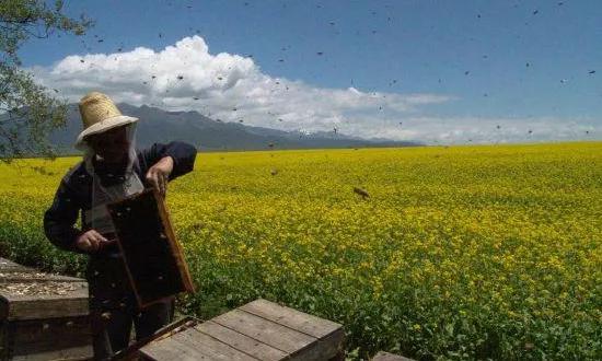 2022非转农业户口需要哪些条件,非转农户口需要哪些手续