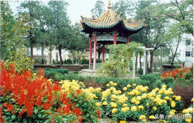 山西汾阳中学简介,汾阳中学观后感