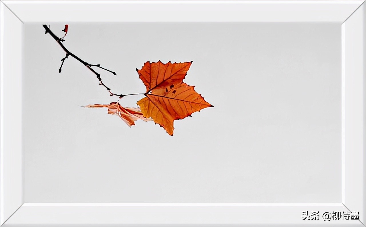 拍照不好看只要学会这些小技巧,摄影大师教你拍照技巧