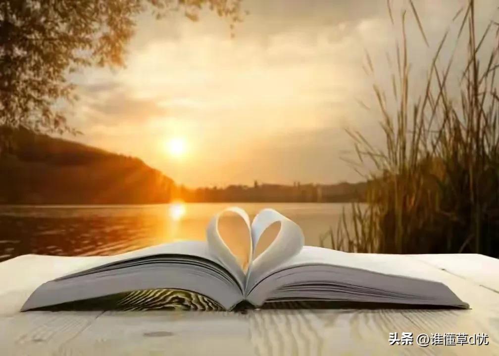 鐖变綘涓嶈礋閬囪灏忚,鐖变綘涓嶈礋閬囪灏忚鐩涢亣