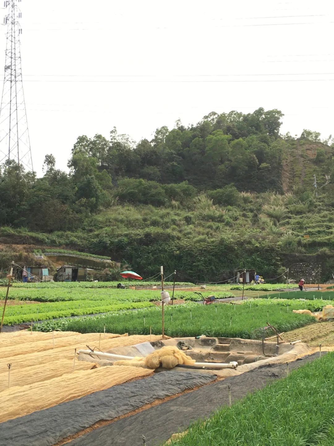 旭光车行雅迪电动车,旭光单车