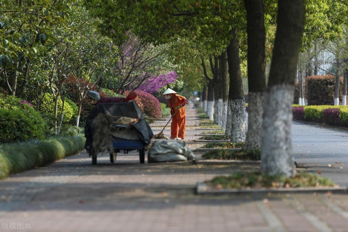 淄博烧烤带动了淄博的各方面发展,为何淄博烧烤能火遍全中国