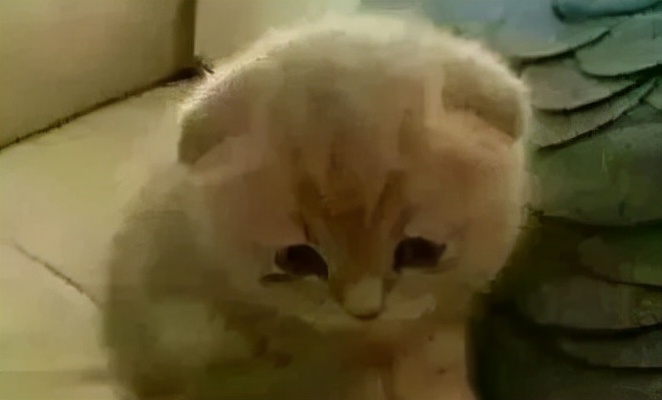 给抑郁症患者的一封信语录,给抑郁症患者的一封信