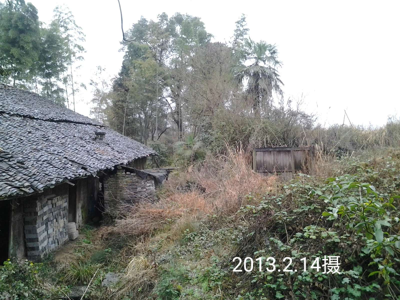 时隔三十年和老母亲再游上海,一个上海知青的回忆