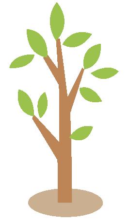 大美湿地美景,大美湿地