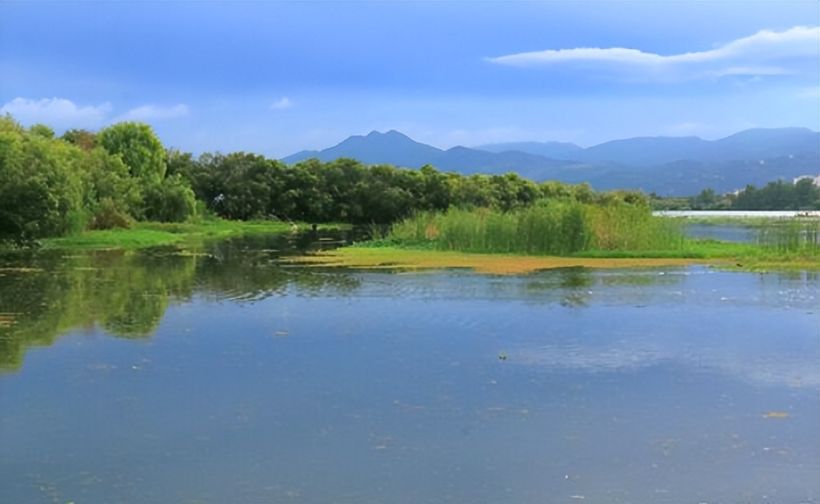 清水绿岸,清水绿岸鱼翔浅底