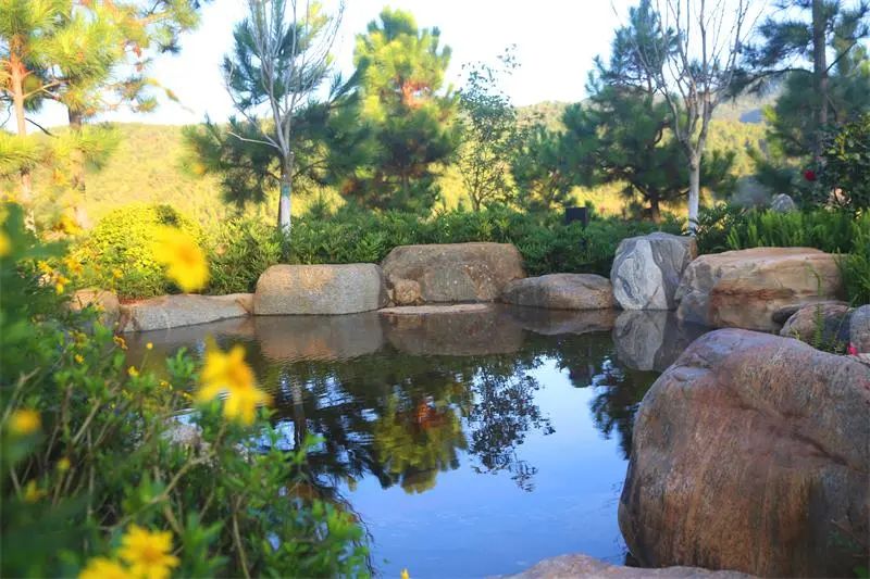 云宿|到玉溪这些酒店，过个“暖洋洋”的周末